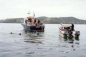 boats cueing for a dive on the Rainbow Warrior