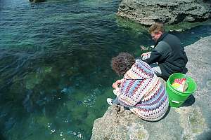 f015204: people feeding the fishes from the rocky platforms