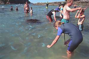 f015827: childrenhave great delight in feeding the fishes