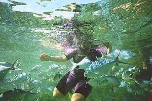 f022119: snorkeldiver and blue maomao