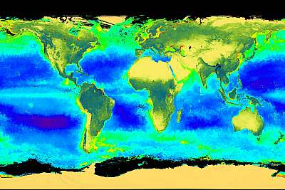 World fertility as measured by chlorophyll concentration