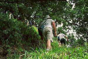 f214520: Climbing the gully to the top landing