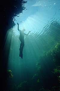 snorkelling Ngaio Rock, cathedral light