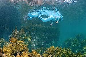 snorkelling in the shallows of  Labrid Channel