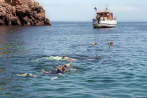 MV Wairangi runs ecological trips