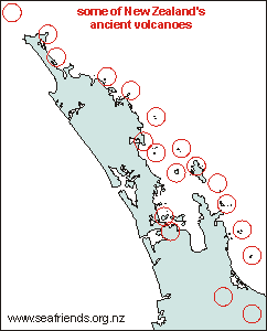 ancient volcanoes northern New Zealand