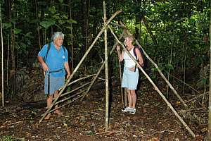 the beginning of a forest shelter