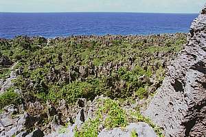 Limestone karrenfeld at Togo