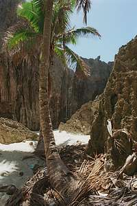 Togo chasm and ladder