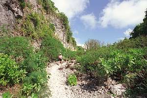 Salt spray vegetation on the Alofi side