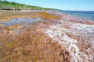 outer Hikutavake reef