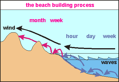 img: How sand moves