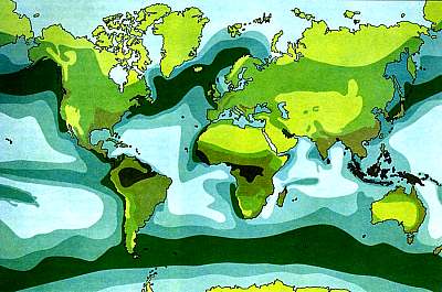 Ocean and land productivity