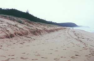 Sunshine Beach, Australia