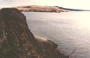 The Hokianga harbour and tall dunes.