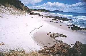 Ocean Beach near Whangarei, NZ