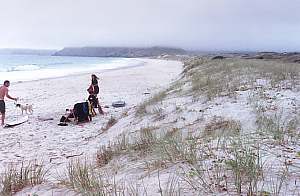 Otama Beach, Coromandel