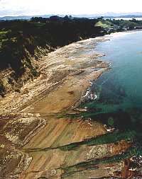 f992208: rock platforms near Martins Bay