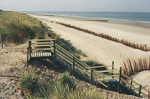 Renourished beach and foredunes