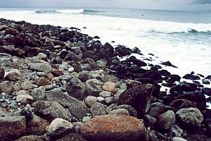 img f995011: Raglan surfing beach