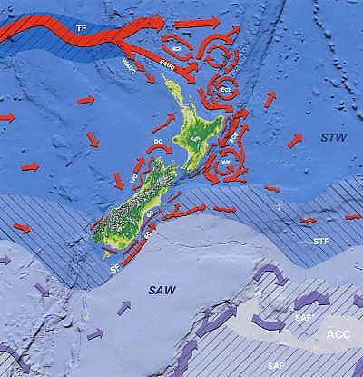 Currents around New Zealand (NIWA)