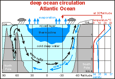 Thermocline under tropics and subtropics