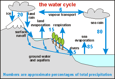 The water cycle