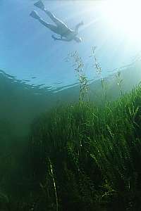 blue sky, calm water in a lake