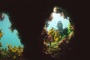 a natural cave with two windows