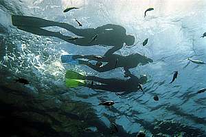 snorkelling is for the whole family