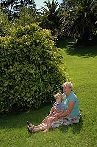 relaxing on one of the many lawns