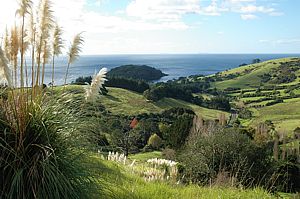 View towards Goat Island marine reserve