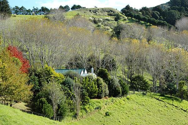 Old cottage and poplar valley