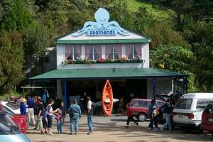 The dive shop can be very busy